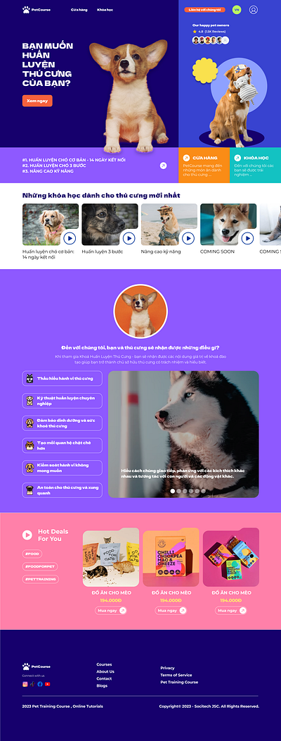 PetCourse Project branding cat course dog graphic design logo pet pet course responsive typography ui website