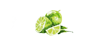 Lime Illustration design graphic design illustration