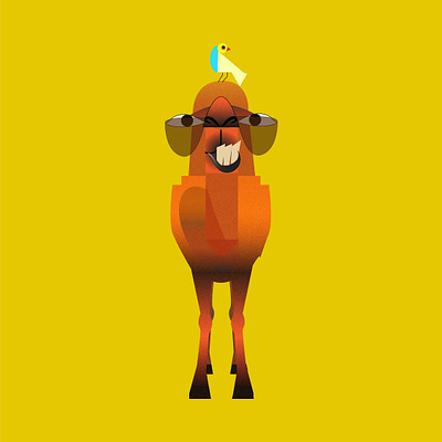 camel illustration illustration
