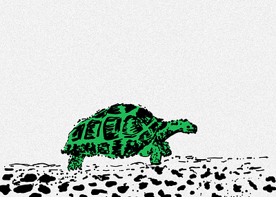 turtle sketch animation illustration motion graphics sketch turtle
