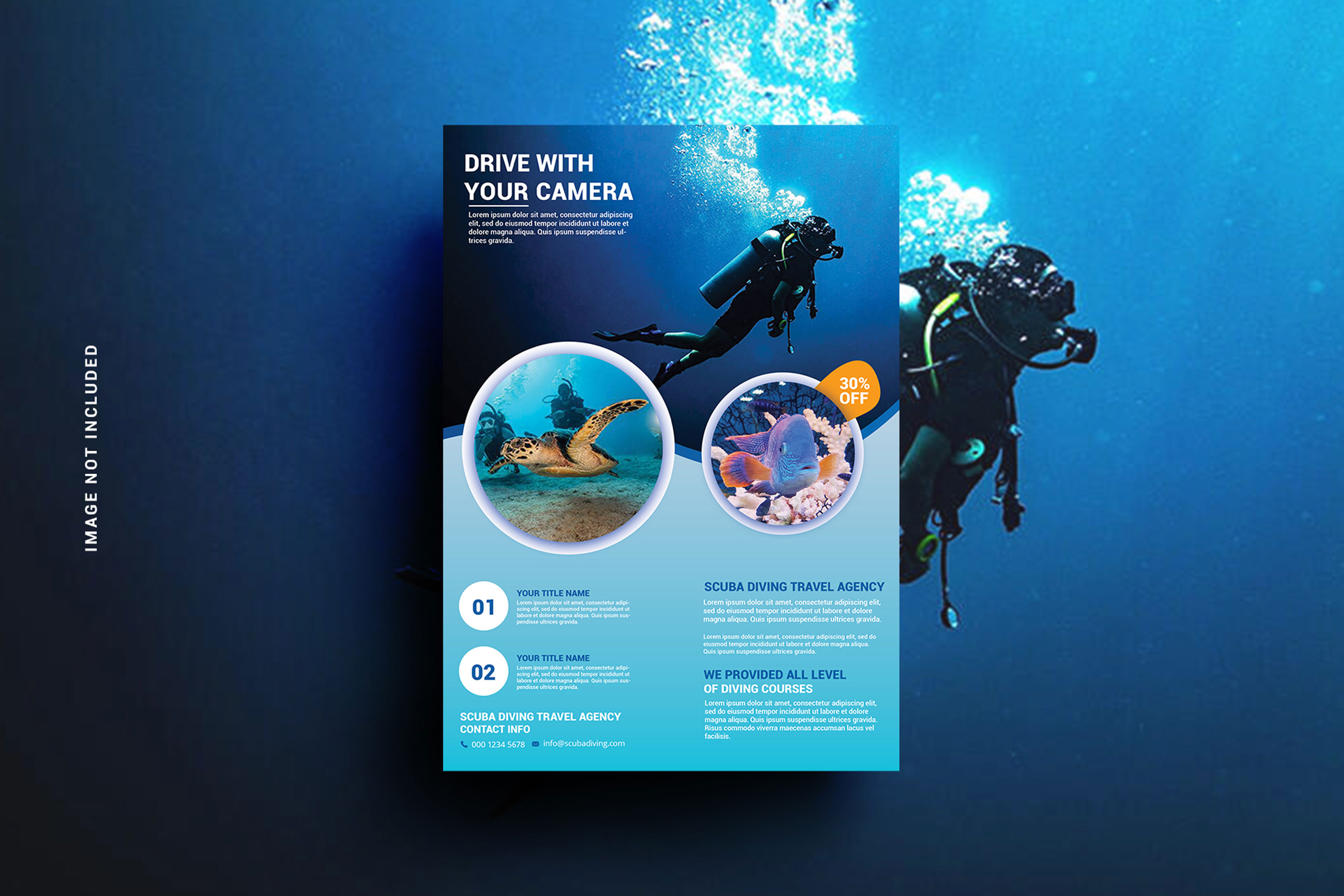 Example of Corporate Business Flyer, Leaflet Design