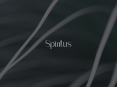 Spiritus logotype brand branding graphic design icon illustration logo typography vector