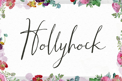 Hollyhock A Messy Calligraphy Font Free Download calligraphy font calligraphy messy hand calligraphed font handwriting handwritten messy calligraphy messy calligraphy font messy script modern modern calligraphy modern calligraphy font modern script modern script font script script font tall font wedding calligraphy wedding calligraphy font wedding font