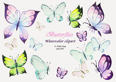 watercolor butterfly set summer drawing