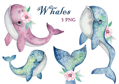 clipart watercolor whales drawing for children