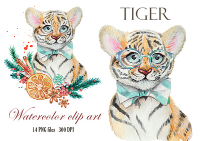 watercolor drawing of a tiger winter greeting card