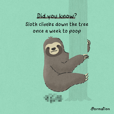 Sloth climbs down the tree once a week to poop animal cartoon digital art digital illustration drawing fun fact illustration poo poop procreate sloth wildlife