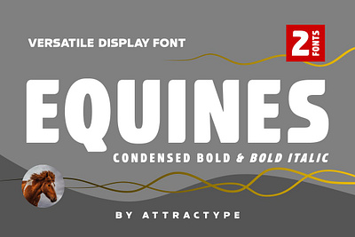 Equines Condensed Bold & Italic Pack