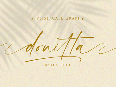 Donitta | Stylish Calligraphy calligraphy calligraphy font elegant font elegant swash font handwriting handwriting font handwritten script script font script signature sign font signature font swash swash font