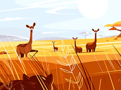 Illustration