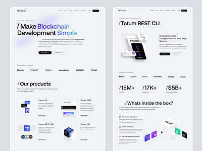 The JavaScript SDK for Web3 Website Main Pages animation branding business crypto design graphic design illustration interface modern ui ux web web design