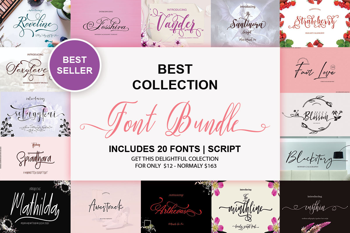 Best Collection Font Bundle by Thai Thanh Hieu on Dribbble