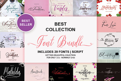 Best Collection Font Bundle best collection font bundle font fonts modern modern script fonts opentype script typography
