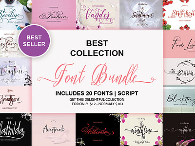 Best Collection Font Bundle best collection font bundle font fonts modern modern script fonts opentype script typography
