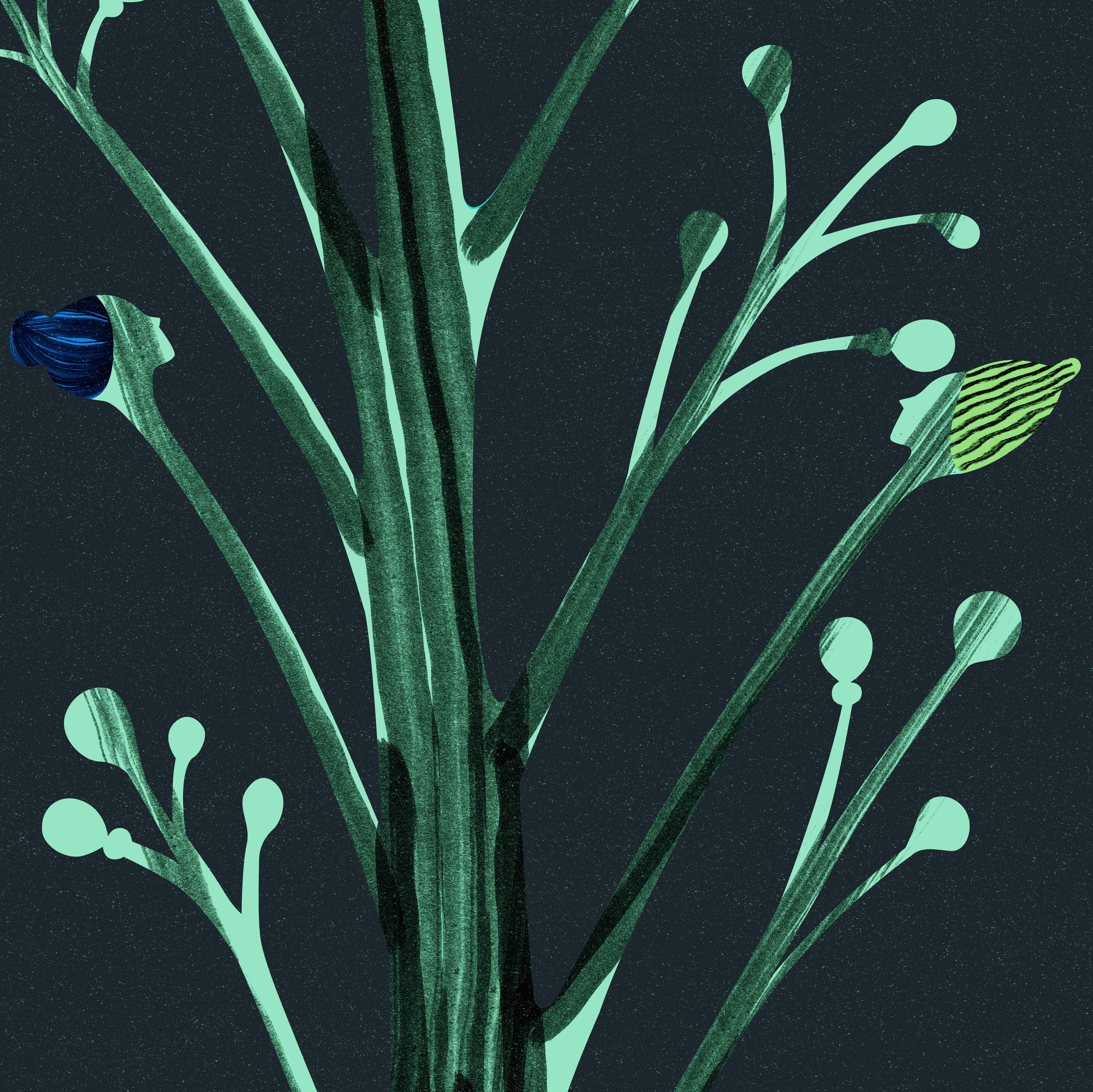 Amuthu Aththa: a different type of branch abstract concept drawing illustration simple