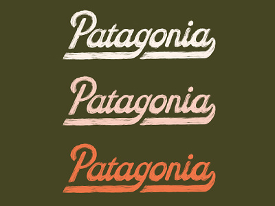 Patagonia art brush design hand drawn hand lettering handlettering illustration illustrator lettering outdoors patagonia retro script sketch vintage