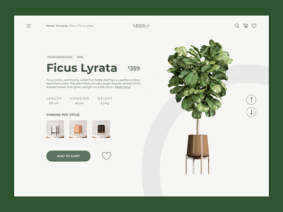 Minimalistic product card for a plant store branding design ui
