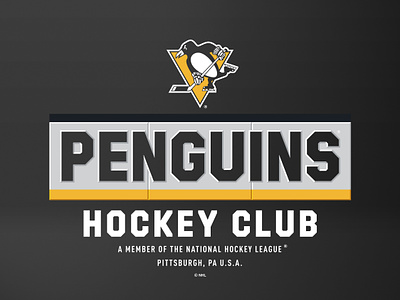 Sideboarder apparel bevel design graphic design hockey logo nhl nhl hockey penguin penguins pittsburgh sports type