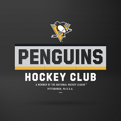 Sideboarder apparel bevel design graphic design hockey logo nhl nhl hockey penguin penguins pittsburgh sports type