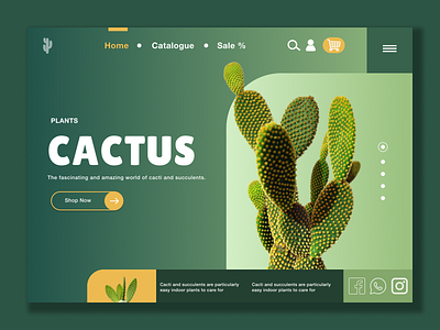 Cactus design ui