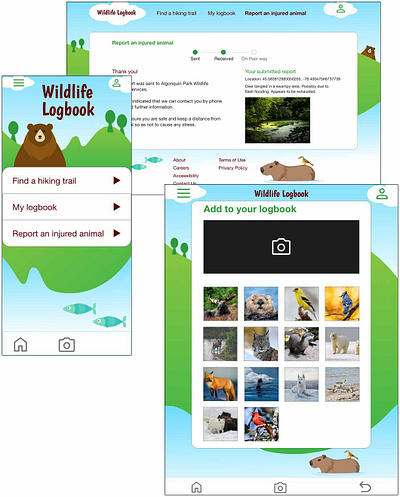 Wildlife Logbook app and website animals illustration mobile ui ux website wildlife