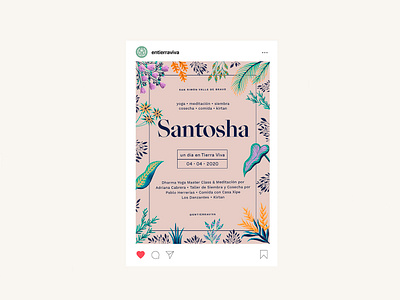 Social Media for Tierra Viva colorful creativity cute earth flowers funny illustration invitation leaves organic plants post simple social media