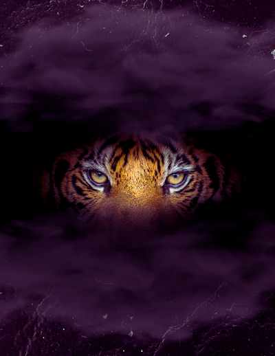 LSU Tiger Pride Graphic graphic design