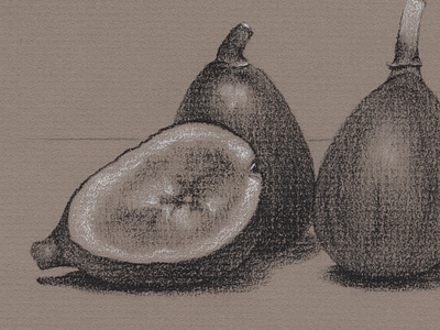 Charcoal and White Chalk Still Life: Figs art artist artwork charcoal drawing figs fruit oil painter painter still life