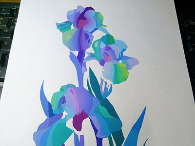 Stylized illustration of Iris flower bloom blue flower close up draw flowers drawing fine art floral art floral painting flower art flower illustration flower painting flowers hoa diên vĩ illustration iris iris flower illustration iris flowers painting stylized illustration vietnam