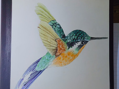 hummingbird mask template