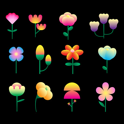 Flower elements graphic design