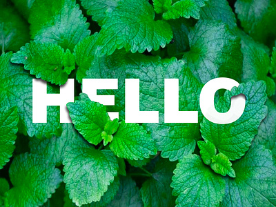 HELLO POSTER branding graphic design logo