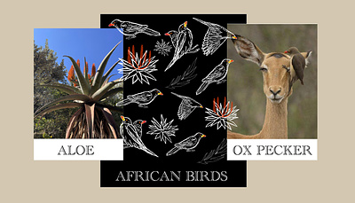 Pattern Design - African Birds design drawing graphic design outline pattern pattern design