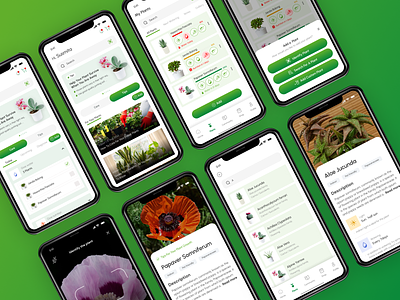 Plant_ Care App community daily plant care tips mobile app plant plant care plant care app plant care tips plant health plant search ans details scan for plant search for plant