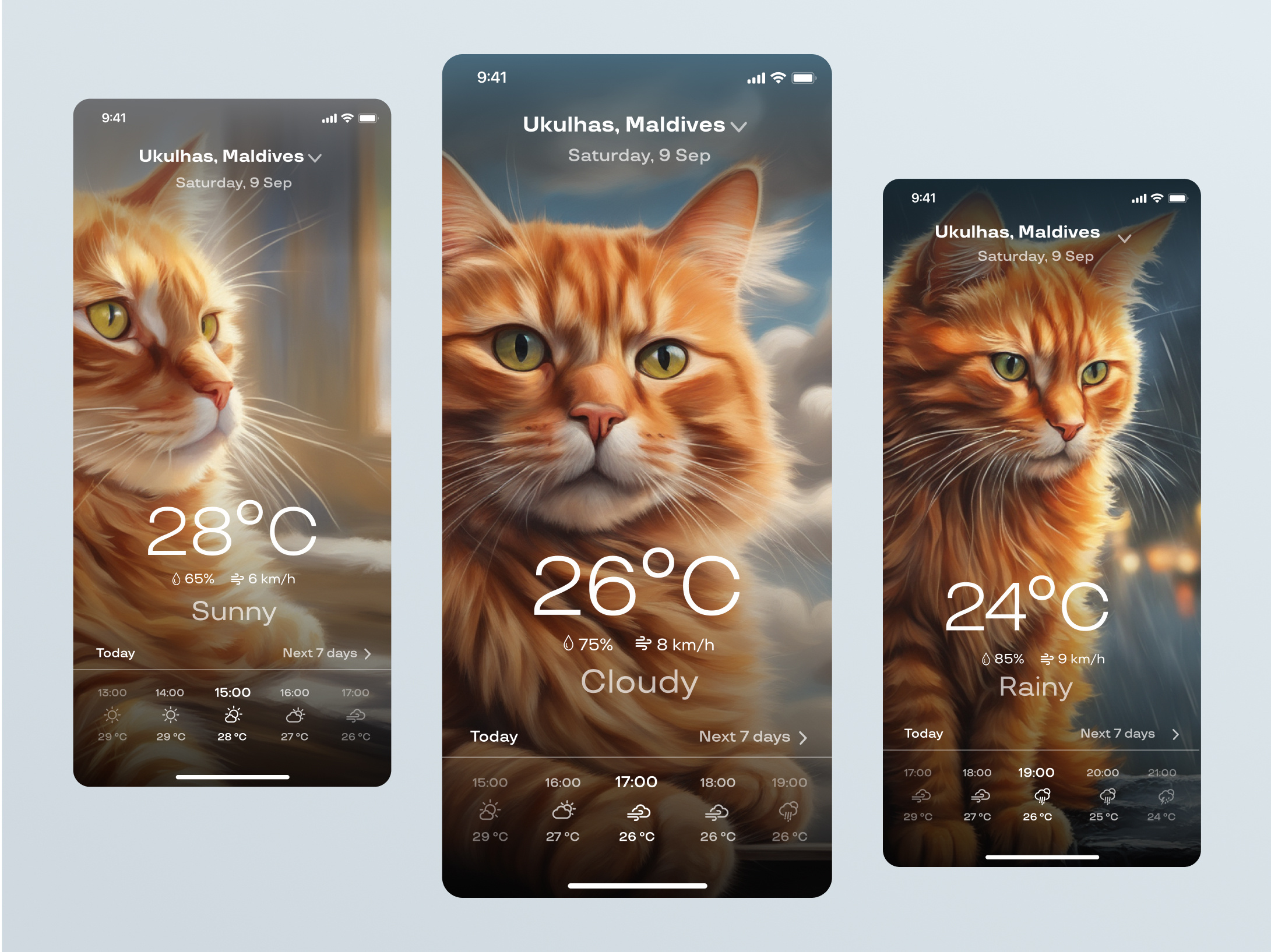 Weather Forecast app application cat design figma forecast mobile mobile app ui ux uxui weather weather forecast web