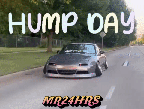 HUMP DAY hump day