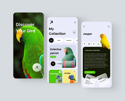 Bird Discovery App application design clean design interface mobile app product design ui uiux uiux design uiux designer ux ux design