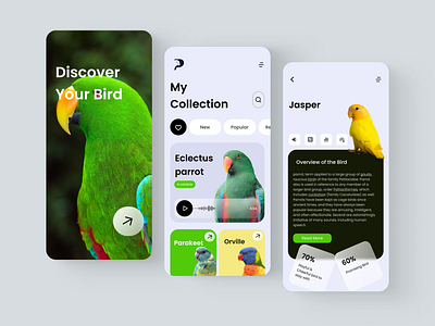 Bird Discovery App application design clean design interface mobile app product design ui uiux uiux design uiux designer ux ux design