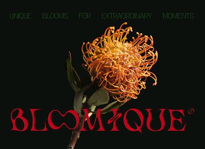 BLOOMIQUE Flower Boutique | Logo, Branding branding design graphic design identity logo logotype