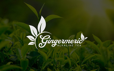 Gingermeric Logo Design business logo creative logo custom logo organic logo tea logo