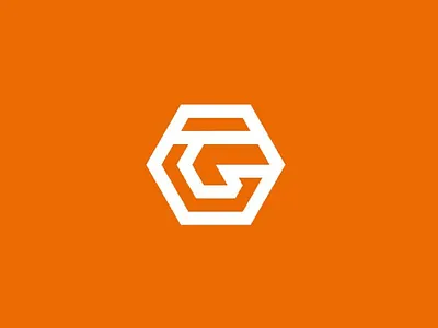 Hexagon Logo branding design logo