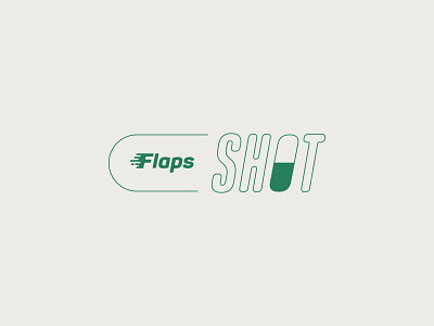 Flapshot branding graphic design logo