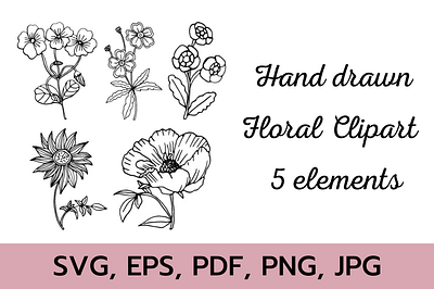 Hand Drawn Floral Cliparts botanical line art clipart coloring page design floral illustration