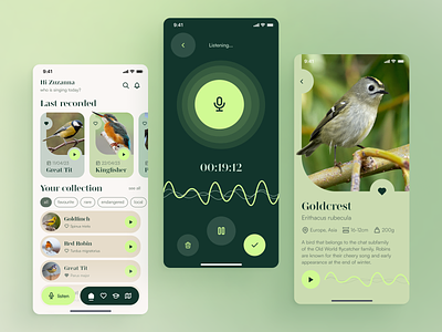Birds Recognition App Design app birds concept design ios nature recognition scanner ui ux