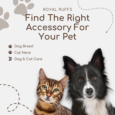 Creation of Social Media Contents for the Pet Brand Royal Ruffs brand creator brand design branding content creation graphic design logo small business creator social media content social media design
