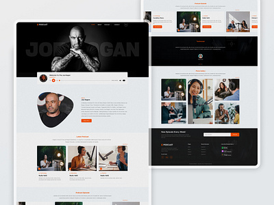 Podcast Website Concept cool design crative design graphic design joe rogan landing page music website podcast website ui uiux uiux designer web website website design