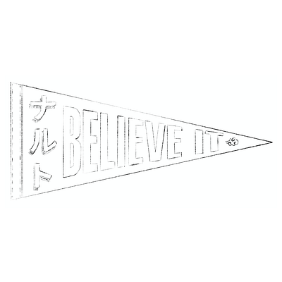 Believe It Pennant design graphic design pennant print print design typography