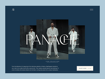 Panache collection challengue concept dailyui design eccomerce fashion hero inspiration trendy ui web web design