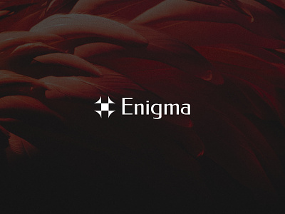 Enigma logotype brand branding graphic design icon illustration logo typography vector