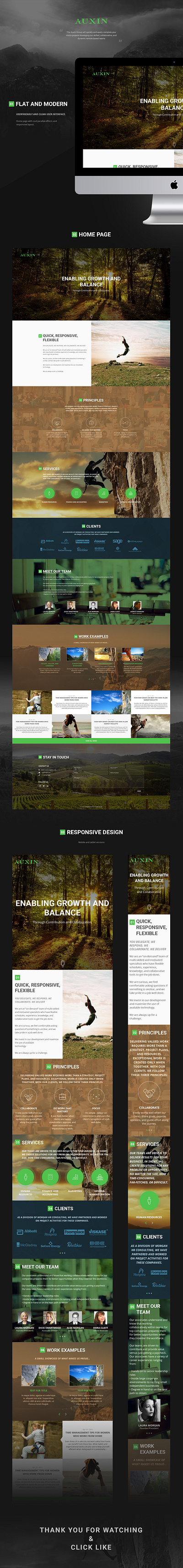 Auxin - Homepage design landing page ui user interface ux webdesign website